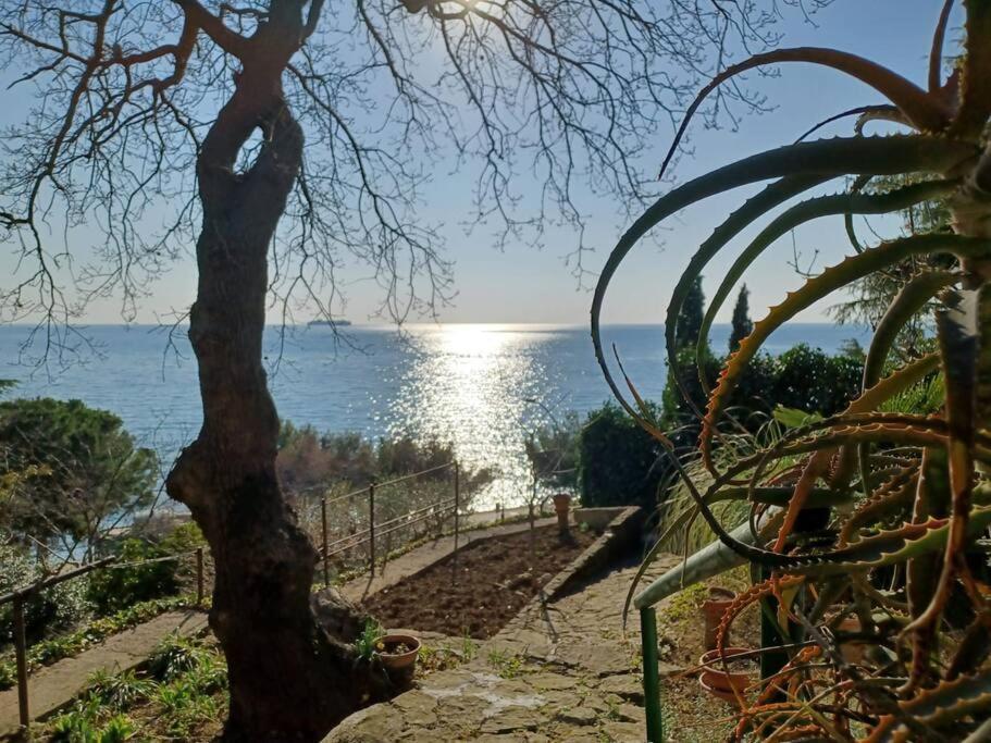Brezza Marina - Appartamento In Villa Fronte Mare Trieste Ngoại thất bức ảnh